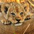 liveinmymewzik :iconliveinmymewzik: