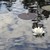 Lively001 :iconlively001: