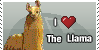 LlamaFanWorld's avatar