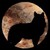 LoboDelaSombra63 :iconlobodelasombra63: