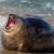 LocalGeekPride000 :iconlocalgeekpride000: