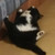 Lochlein :iconlochlein: