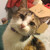 Locke12069 :iconlocke12069: