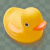 locoindigo :iconlocoindigo:
