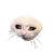 :iconloneecho:
