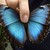 LonelyShine :iconlonelyshine: