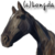 DeviantArt profile picture for @Longda on DeviantArt