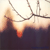 DeviantArt profile picture for @longing on DeviantArt