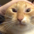 lookbrooke :iconlookbrooke: