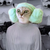 LordVetinari :iconlordvetinari: