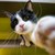 LorenzoAndre :iconlorenzoandre: