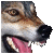lospacini :iconlospacini: