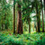 LOTRfanforever :iconlotrfanforever: