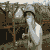 LotusFire79 :iconlotusfire79: