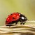 LouHartphotography :iconlouhartphotography: