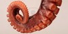 love-tentacles's avatar