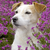 Lovecat78 :iconlovecat78: