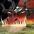 lovenaruto74 :iconlovenaruto74: