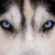 LovinglyBitter :iconlovinglybitter:
