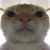 LowFeelsBlvd :iconlowfeelsblvd: