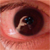Lpyo87 :iconlpyo87: