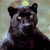 Lucid-Crimson :iconlucid-crimson: