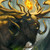 LucklessWarrior :iconlucklesswarrior: