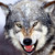 luckybasterd :iconluckybasterd: