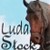 :iconluda-stock: