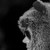 lueap :iconlueap: