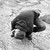 lukasthebastian :iconlukasthebastian:
