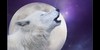 Luna-Wolves13's avatar