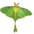 LunaCreationsX :iconlunacreationsx: