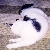 LunaMaras :iconlunamaras: