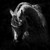 luvHORSESandMUSIC :iconluvhorsesandmusic:
