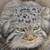 LyanaKenuey :iconlyanakenuey: