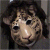 DeviantArt profile picture for @lyme on DeviantArt