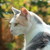 Lynnfly :iconlynnfly: