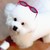 lynseni :iconlynseni:
