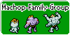 :iconmachop-family-group: