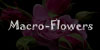 Macro-Flowers's avatar