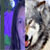 MaddiWolfSharingan :iconmaddiwolfsharingan: