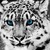 mafiamonkey11 :iconmafiamonkey11: