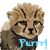 DeviantArt profile picture for @magdaw on DeviantArt