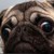MagicFiretrucks :iconmagicfiretrucks: