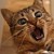 MagykStormCandles :iconmagykstormcandles: