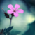 mahmuod9966 :iconmahmuod9966: