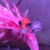 Makani438 :iconmakani438: