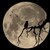 maksks7 :iconmaksks7: