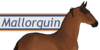 Mallorquin-Horse's avatar